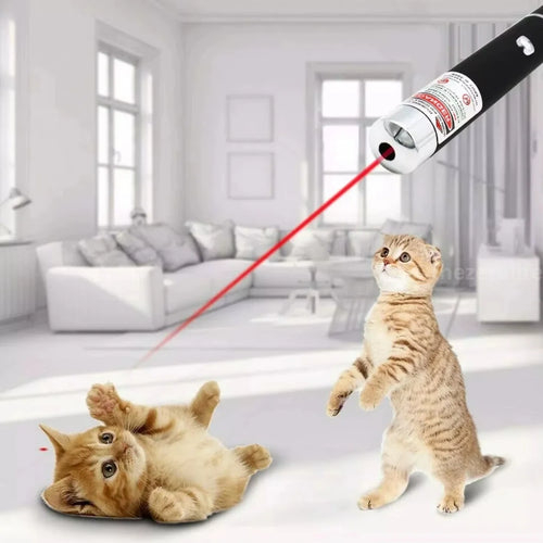 Two cats playing with a laser pointer in a modern living room.