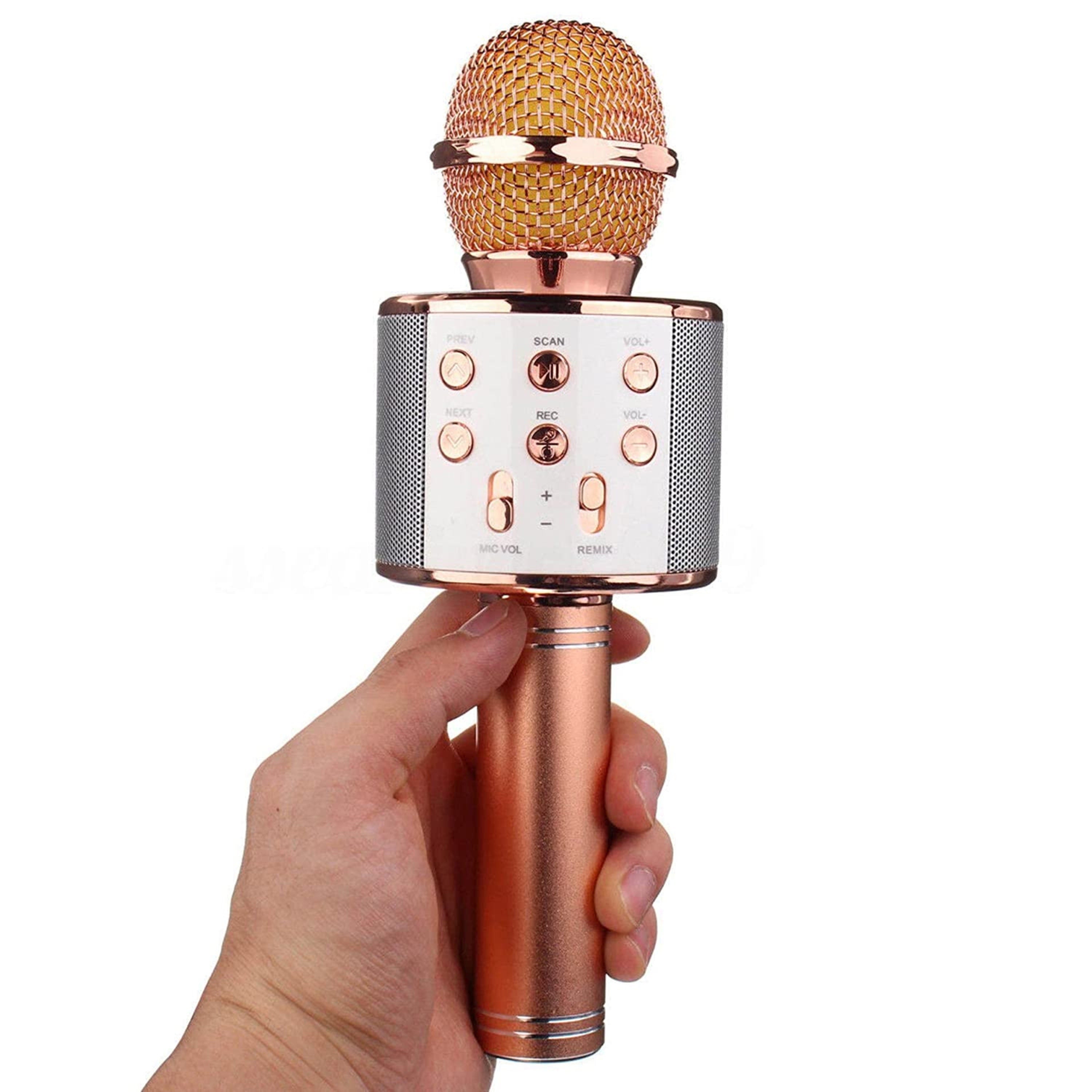 Bluetooth Wireless Karaoke Microphone | Portable Mic Speaker