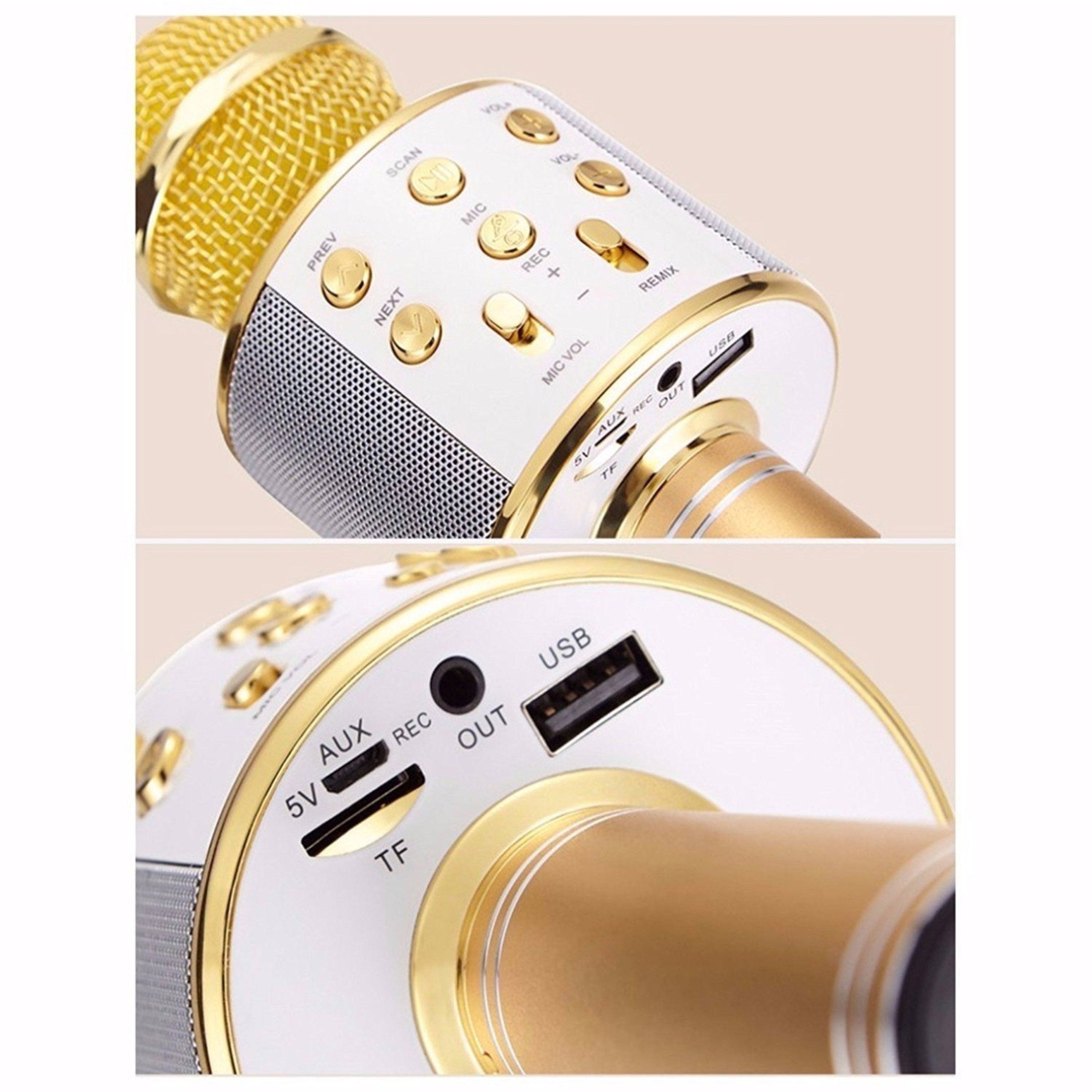 Bluetooth Wireless Karaoke Microphone | Portable Mic Speaker
