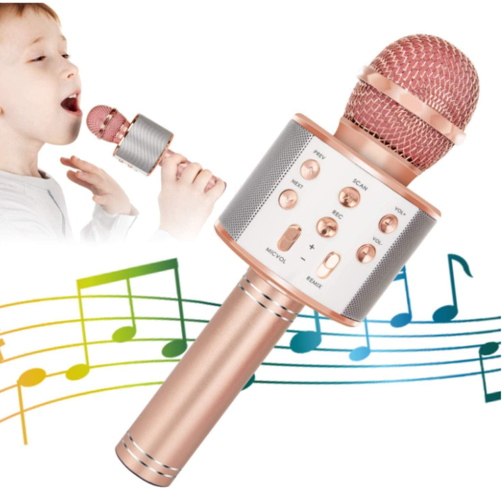 Bluetooth Wireless Karaoke Microphone | Portable Mic Speaker