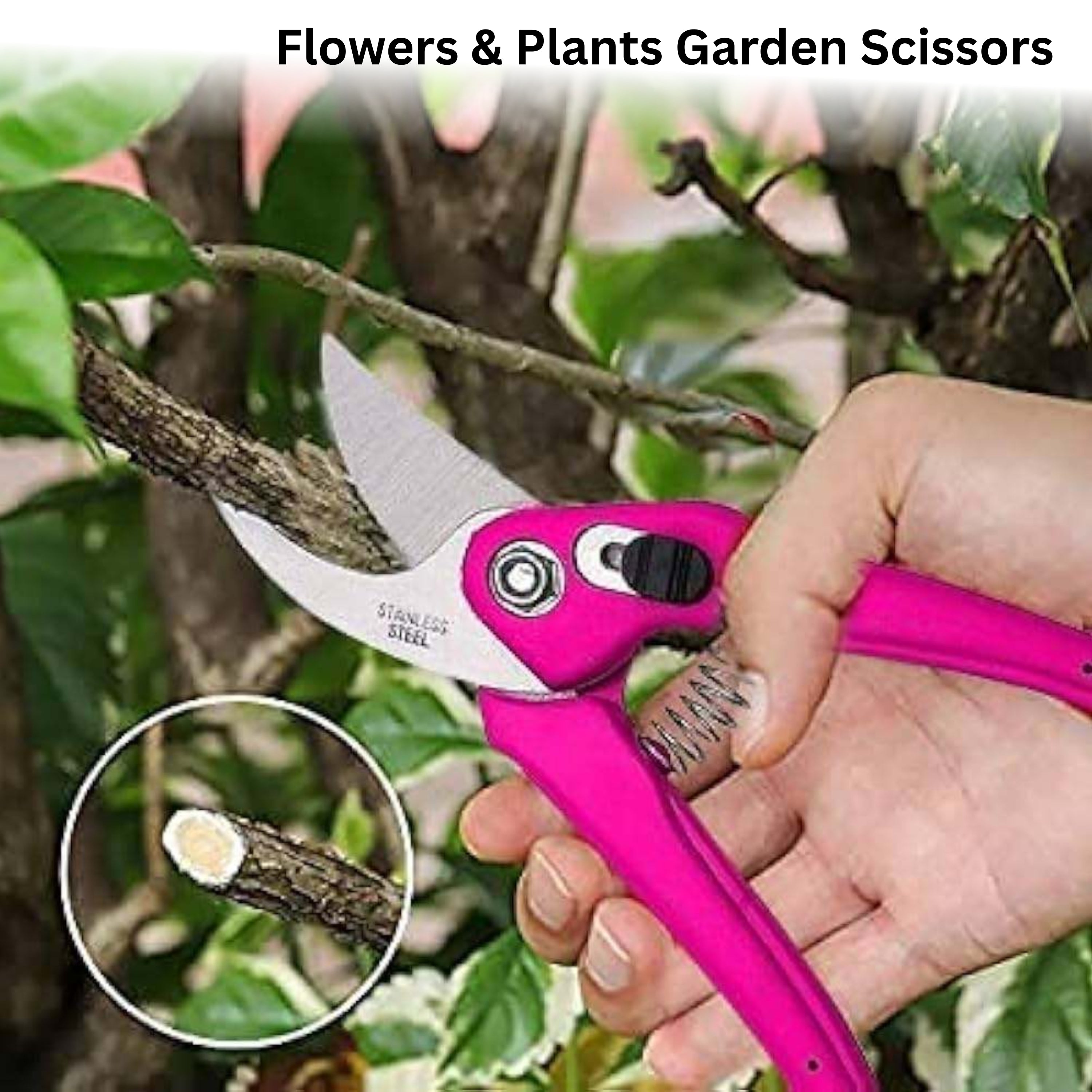 Stainless Steel Flowers & Plants Garden Scissors